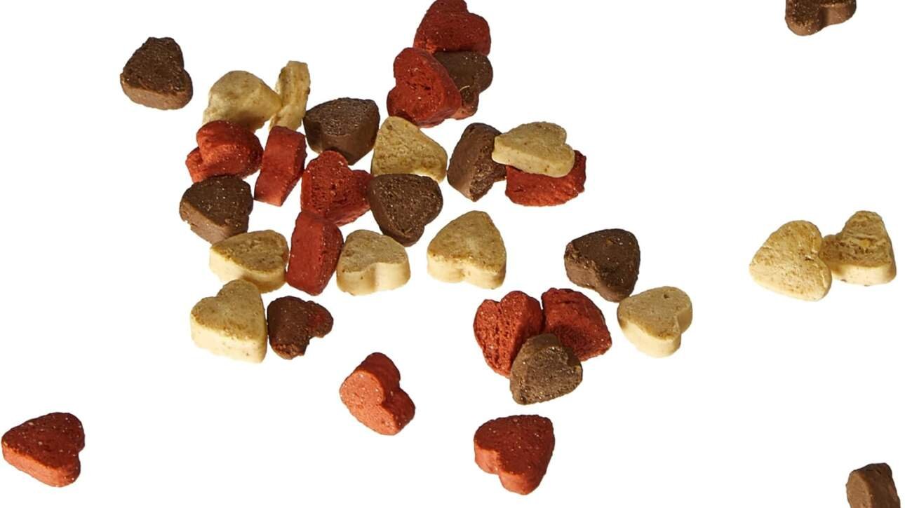 trixie trainer snack mini hearts pour chien 200 g 1