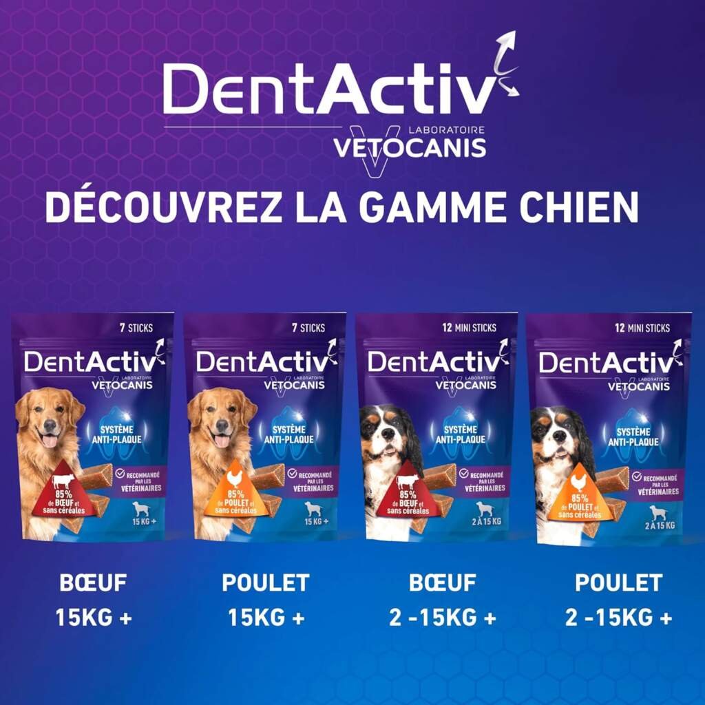 Vetocanis | Dentactiv | Stick Dentaire Chien | Friandises pour Chien Gourmandes | Pour lHygiène et Santé du Chien | Riche en Viande | 85% de Boeuf | Recommandé par les Vétérinaires | Chien 15 kg et +