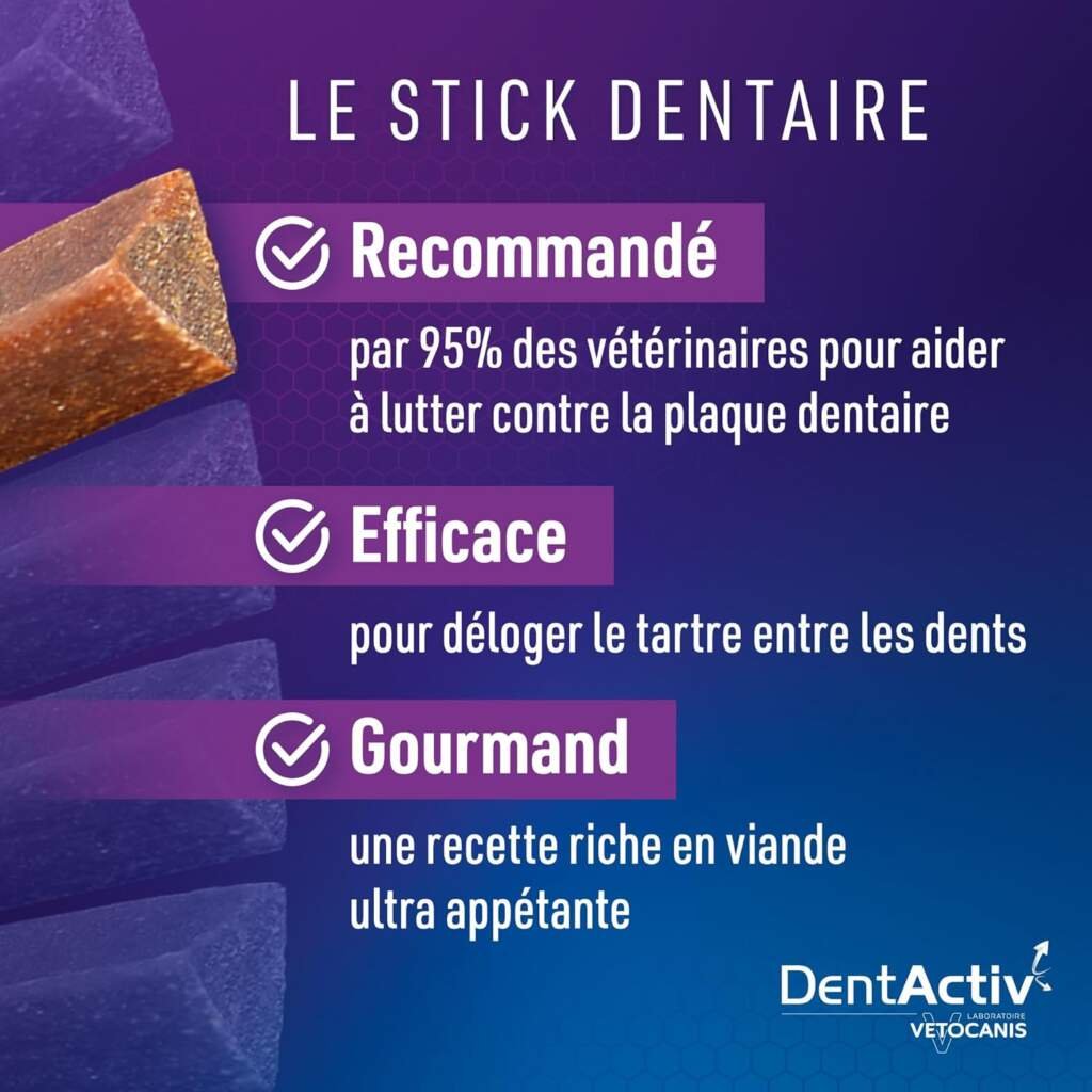 Vetocanis | Dentactiv | Stick Dentaire Chien | Friandises pour Chien Gourmandes | Pour lHygiène et Santé du Chien | Riche en Viande | 85% de Boeuf | Recommandé par les Vétérinaires | Chien 15 kg et +