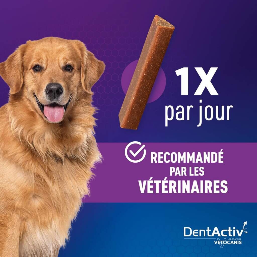 Vetocanis | Dentactiv | Stick Dentaire Chien | Friandises pour Chien Gourmandes | pour lHygiène et Santé du Chien | Riche en Viande | 85% de Poulet | Recommandé par Les Vétérinaires | Chien 2 à 15kg