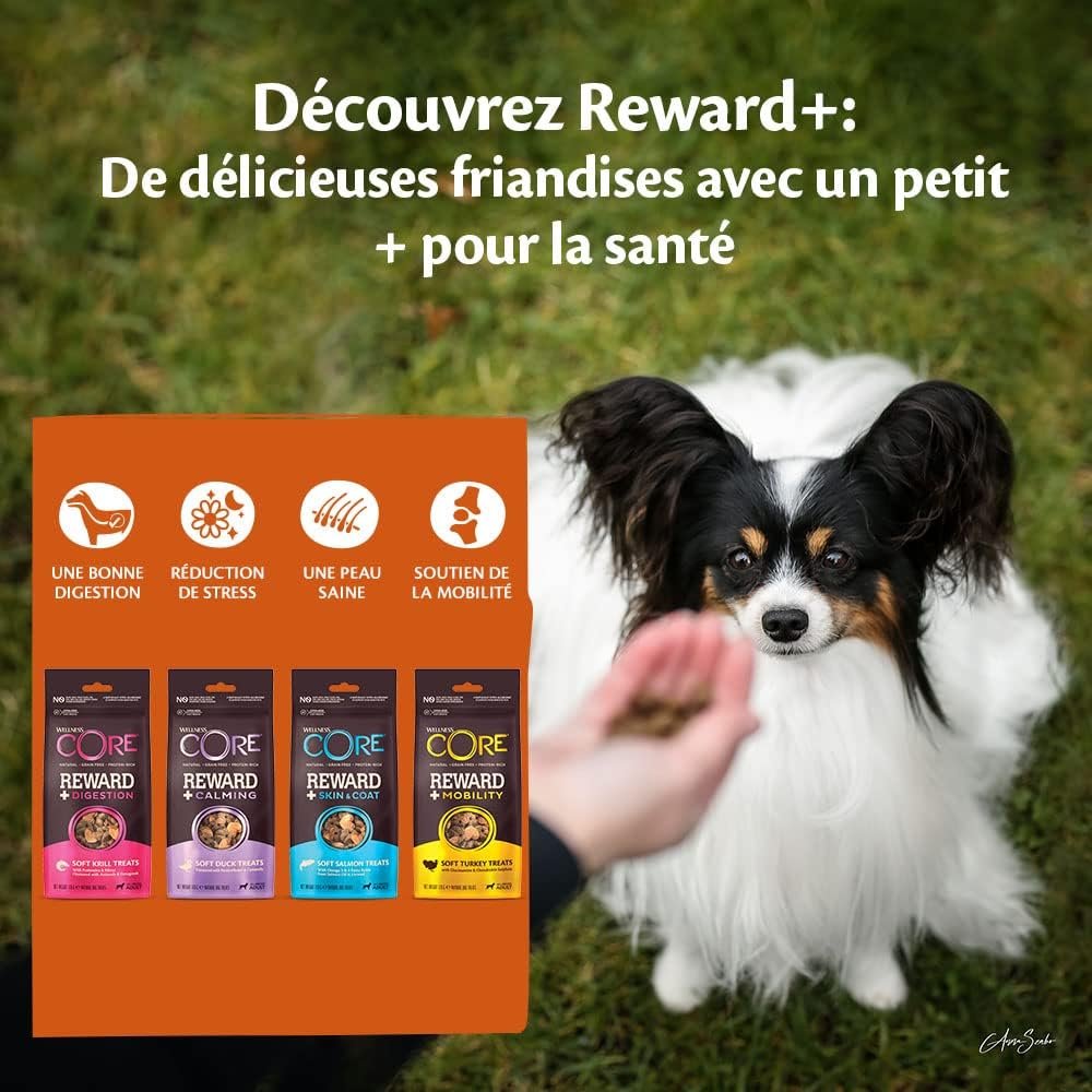 Wellness CORE Reward+ Saumon, Friandises moëlleuses pour Chien, soutient Peau Saine  pélage Brillant, Naturel, sans céréales, Riche en protéines, 170g