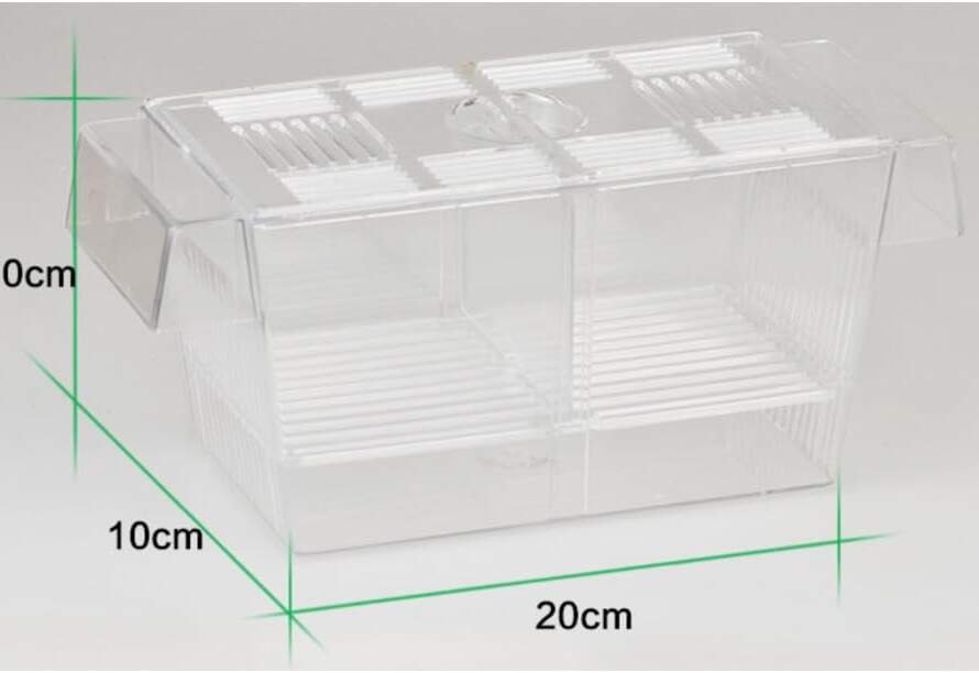 yinong pondoir flottant 2 en 1 aquarium delevage incubateur de poissons boite 20 x 10 x 10cm