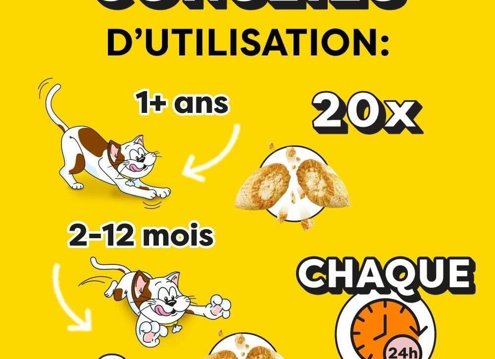 catisfactions friandises pour chat et chaton au delicieux fromage lot de 4 sachets maxi 180g croquantes a lexterieur ten 2