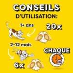 catisfactions friandises pour chat et chaton au delicieux fromage lot de 4 sachets maxi 180g croquantes a lexterieur ten 2