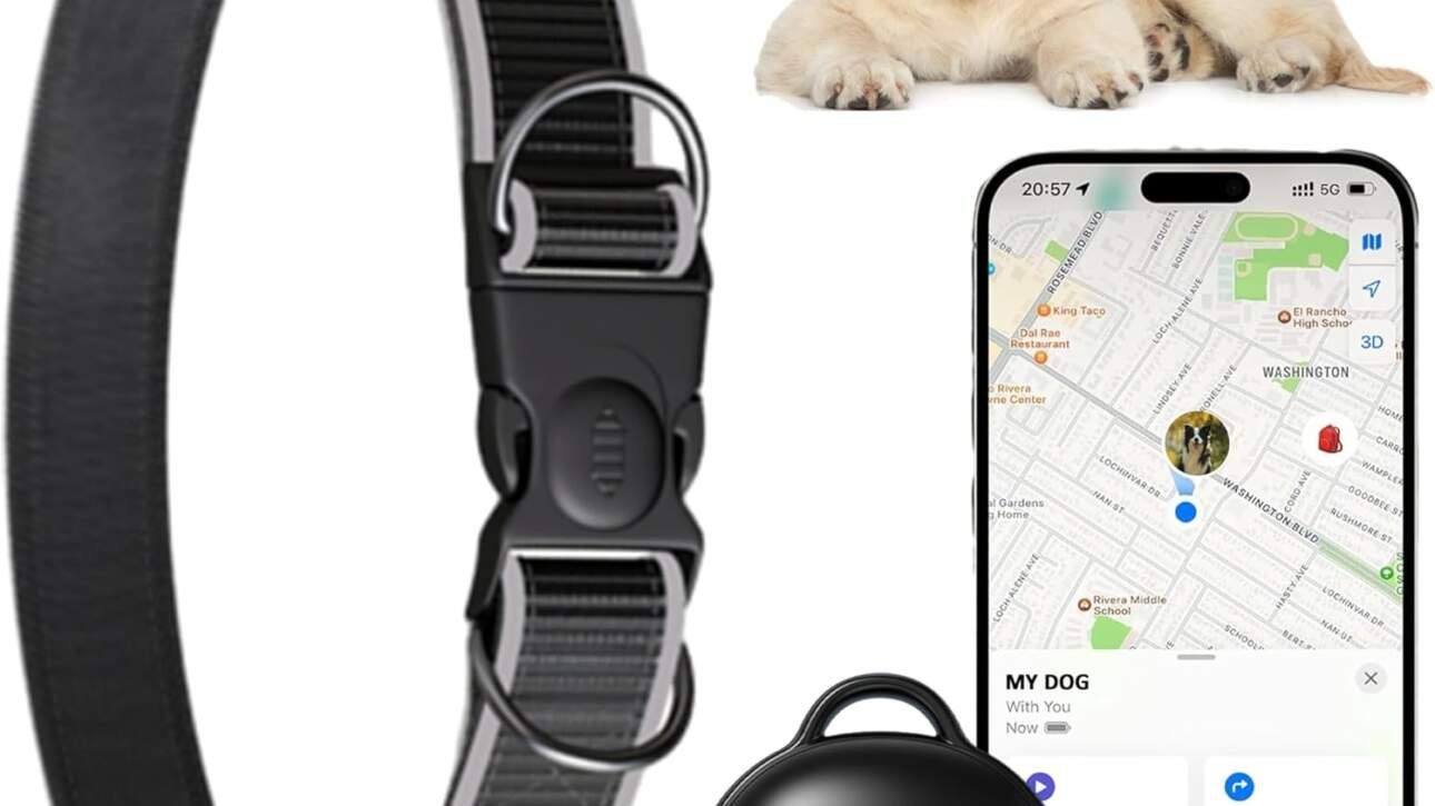 collier gps pour chien avec traceur dispositif de localisationportee illimiteemode perdu pour chien taille ajustable int