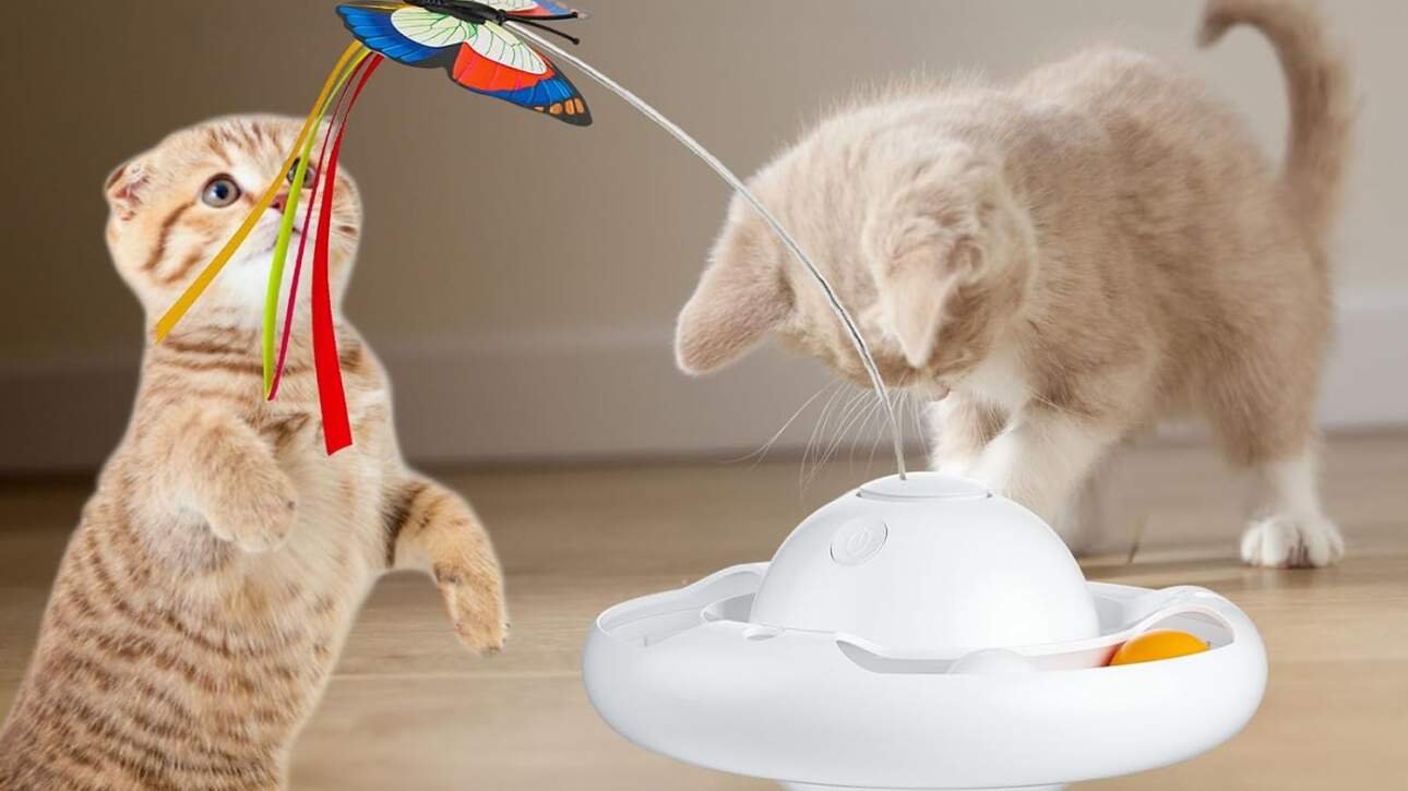 gmiigu jouet chat interieur jouet chaton interactif electrique automatique avec 2 papillons et 2 balles 3 modes jouets p 1