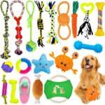 hepaz jouets pour chien19 pieces de jouet chiot chieny compris la corde avec ballecorde avec noeudanneau de caoutchoucco