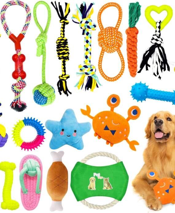 hepaz jouets pour chien19 pieces de jouet chiot chieny compris la corde avec ballecorde avec noeudanneau de caoutchoucco