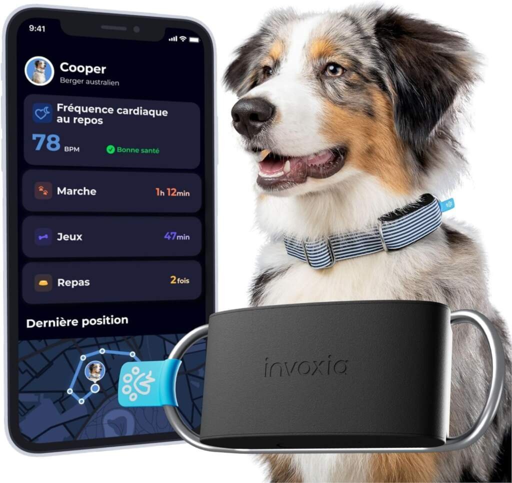 Invoxia Minitailz - Traceur GPS  Santé n°1 pour Chien - Alertes Anti-Fugue, Scan respiratoire - Localisation Temps réel, Rechargeable USB, Zone et Clôture Virtuelle - Mini Tracker sur Collier S-XL