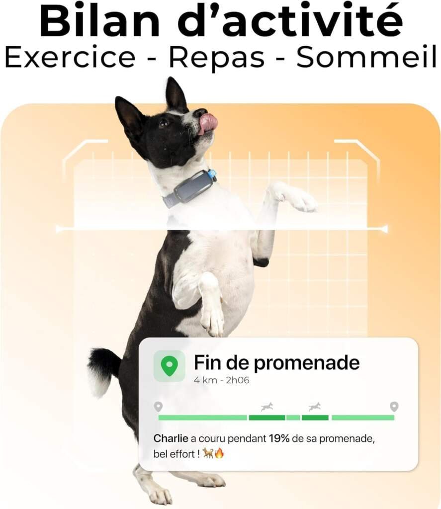 Invoxia Minitailz - Traceur GPS  Santé n°1 pour Chien - Alertes Anti-Fugue, Scan respiratoire - Localisation Temps réel, Rechargeable USB, Zone et Clôture Virtuelle - Mini Tracker sur Collier S-XL