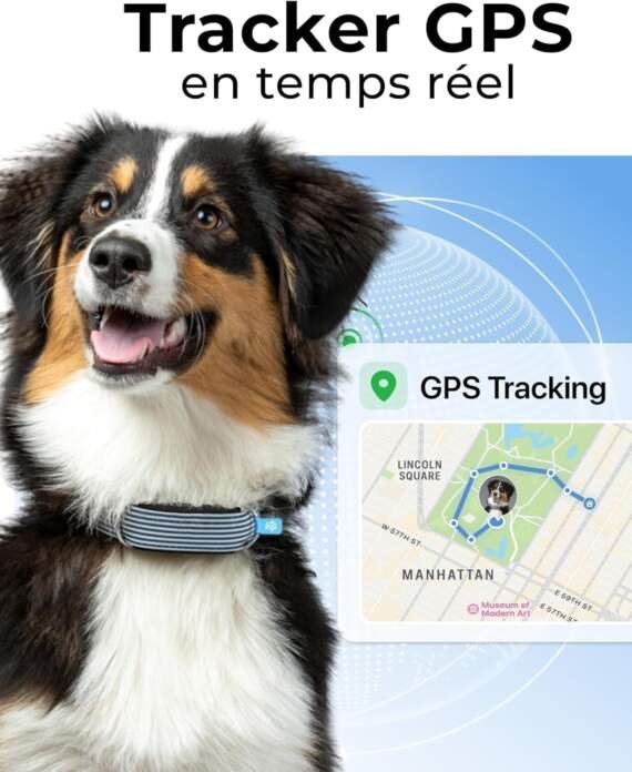 invoxia minitailz traceur gps sante n1 pour chien alertes anti fugue scan respiratoire localisation temps reel rechargea 3