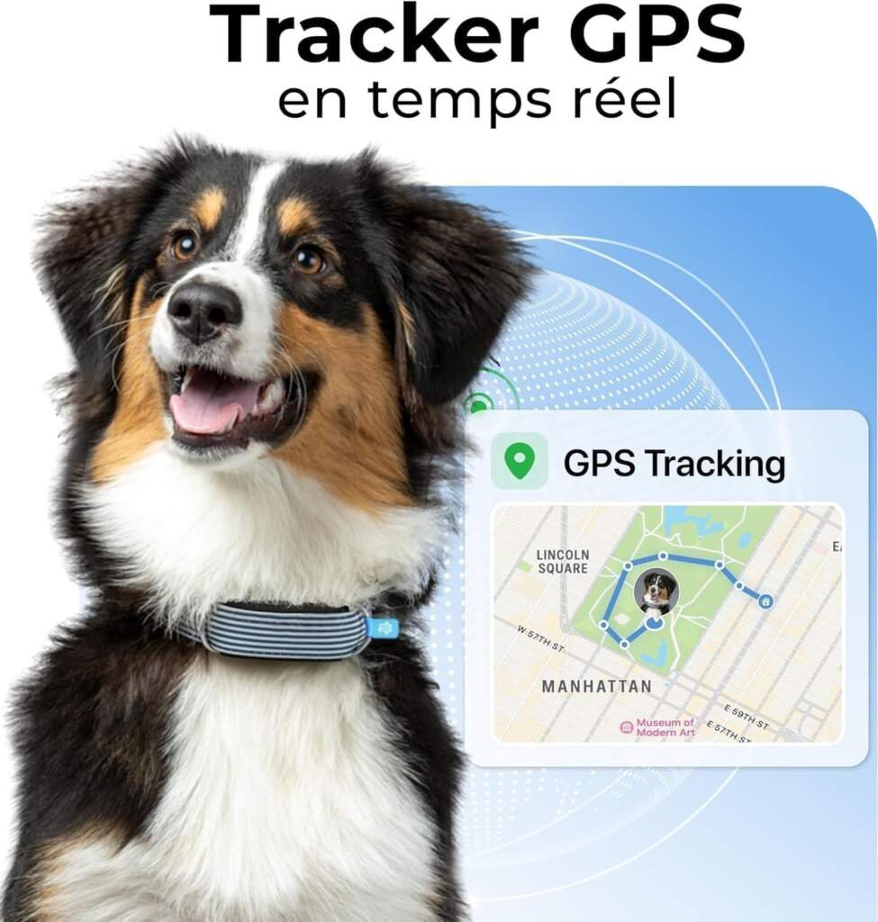 Invoxia Minitailz - Traceur GPS  Santé n°1 pour Chien - Alertes Anti-Fugue, Scan respiratoire - Localisation Temps réel, Rechargeable USB, Zone et Clôture Virtuelle - Mini Tracker sur Collier S-XL