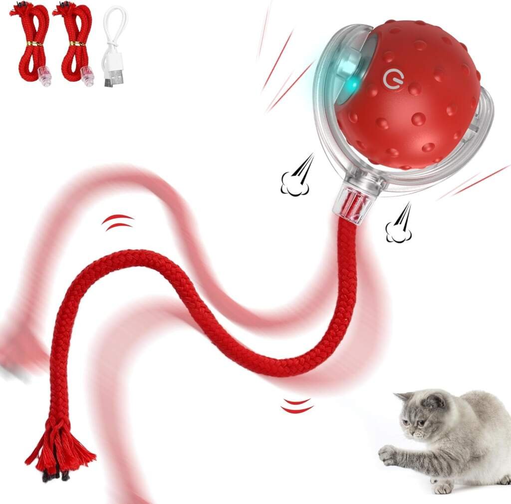 IOKHEIRA Jouet interactif pour Chat - Boule électrique Automatique Rechargeable, Mouvement irrégulier, stimule linstinct de Chasse, pour Chats dintérieur Adultes, Compatible sols et moquettes.