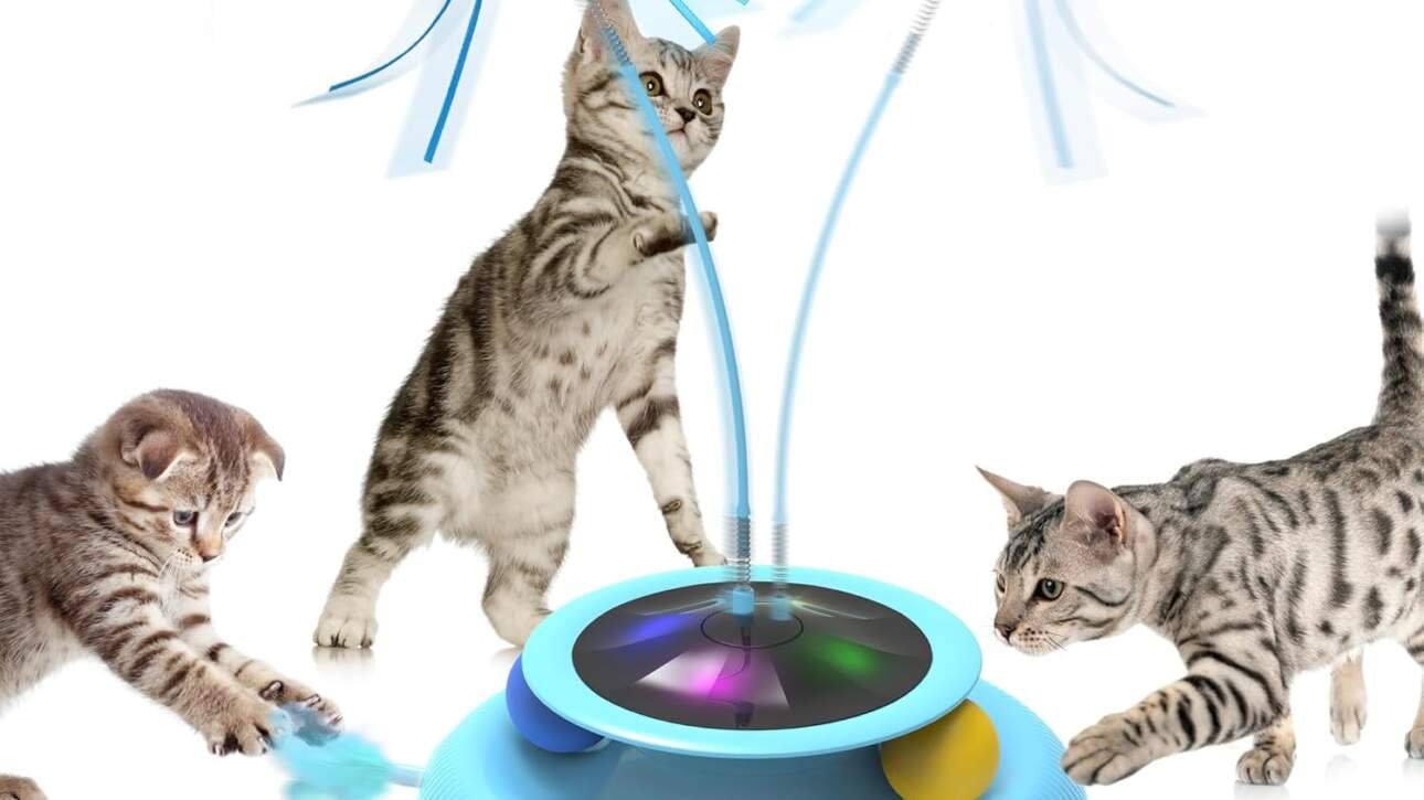 jouet interactif pour chat jouet interieur pour chats adultes avec 3 modes de jeu automatique electronique jeu chat cade