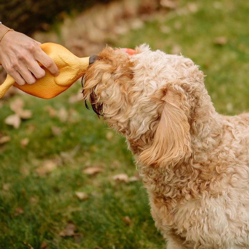 Nobby Poulet en Latex pour Chien 16 cm (S)