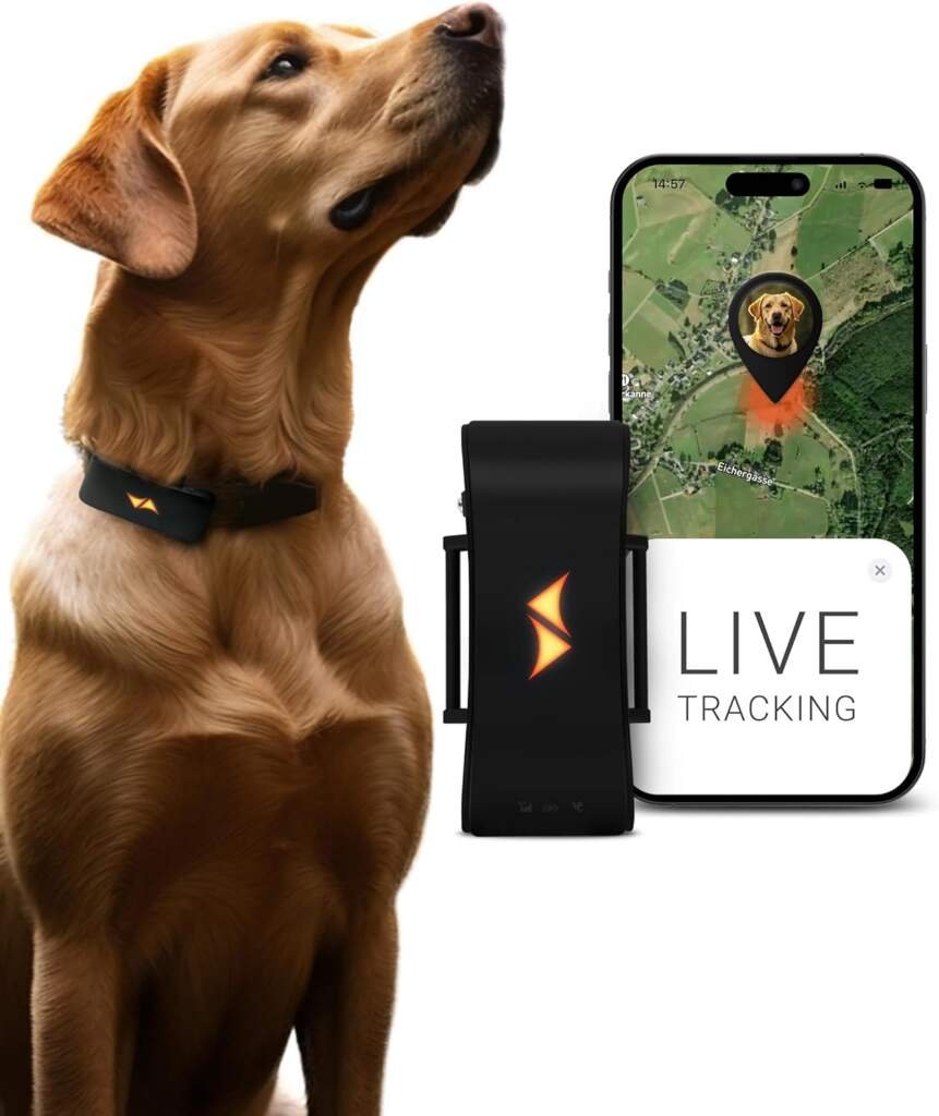 PAJ GPS pour Chien - Alarme de Fugue + Suivi en Direct - Mode déconomie de Batterie près de routeur - Signaux sonores- Lumières LED- Étanche (IP67) - sadapte à Tous Les Colliers