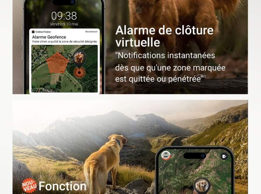 paj gps pour chien alarme de fugue suivi en direct mode deconomie de batterie pres de routeur signaux sonores lumieres l 5