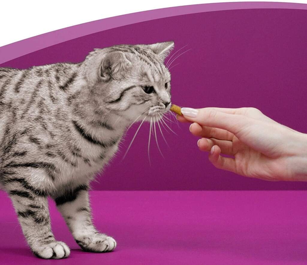 WHISKAS LES IRRÉSISTIBLES - Friandises au Saumon pour Chat Adulte - 8 Boîtes de 60 g - Croquantes à lExtérieur et Fondantes à lIntérieur