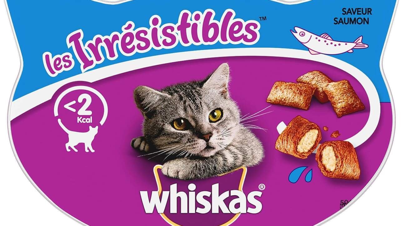 whiskas les irresistibles friandises au saumon pour chat adulte 8 boites de 60 g croquantes a lexterieur et fondantes a 1 2